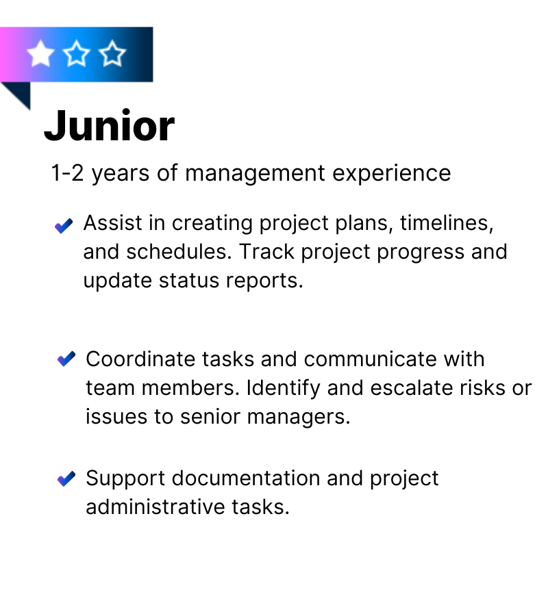 project-manager-phillippines-junior